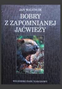 Bobry z zapomnianej Jaćwieży. Wigierski Park Narodowy - Jan Walencik
