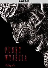 Punkt wyjścia - Dawid Kain