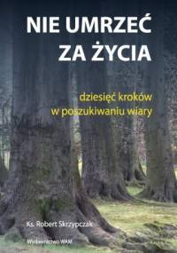 Nie umrzeć za życia. Dziesięć kroków w poszukiwaniu wiary. - Robert Skrzypczak