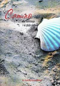 Camino - do Santiago i w głąb siebie - Andrzej Antoni Klimek