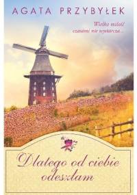 Dlatego od ciebie odeszłam - Agata Przybyłek