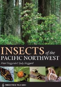 Insects of the Pacific Northwest - Judy Haggard, Peter Haggard