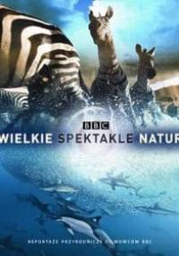 Wielkie Spektakle Natury. Reportaże przyrodnicze filmowców BBC - Karen Bass, Brian Leith