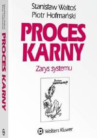 Proces karny. Zarys systemu - Piotr Hofmański, Stanisław Waltoś