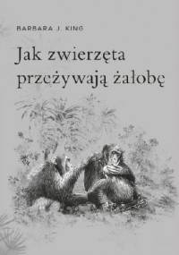 Jak zwierzęta przeżywają żałobę - Barbara J. King
