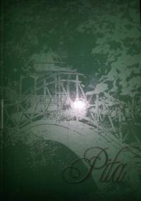 Piła. Pejzaż szmaragdowy, ...w kolorze sepii, ...we wszystkich barwach