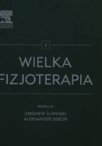 Wielka fizjoterapia Tom 2 - Aleksander Sieroń, Zbigniew Śliwiński