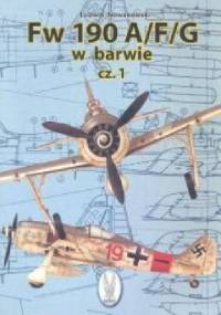 Fw-190 AFG w barwie cz.1 - Ludwik Nowakowski