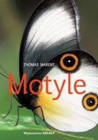 Motyle - Thomas Marent