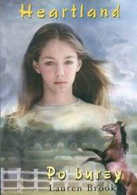 Po burzy - Lauren Brooke