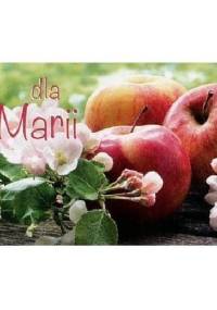 Dla Marii - praca zbiorowa