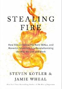 Stealing fire - Jamie Wheal, Steven Kotler