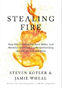 Stealing fire - Jamie Wheal, Steven Kotler