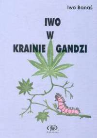 Iwo w krainie Gandzi - Iwo Banaś