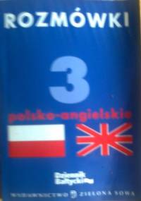 Rozmówki polsko-angielskie - Grzegorz A. Kleparski