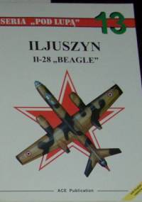 Iljuszyn Ił-28 BEAGLE - Przemysław Skulski
