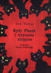 Ryży Placek i trzynastu zbójców - Jan Tetter