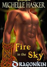 Fire in the Sky - Michelle Hasker