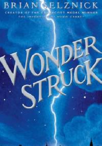 Wonderstruck - Brian Selznick