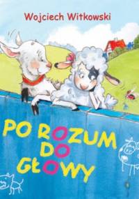 Po rozum do głowy - Wojciech Witkowski