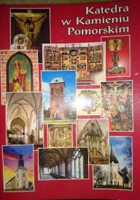Katedra w kamieniu pomorskim