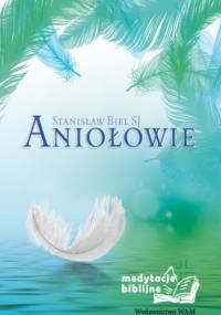 Aniołowie. Medytacje biblijne - Stanisław Biel SJ