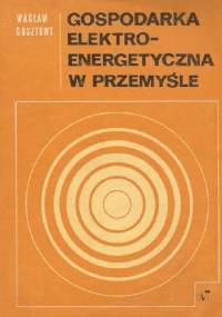 Gospodarka elektro-energetyczna w przemyśle - Wacław Gosztowt