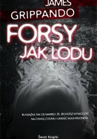 Forsy jak lodu - James Grippando