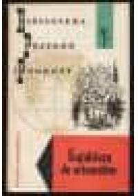 Kajakiem do minaretów - Wacław Korabiewicz