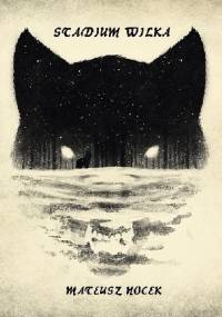 Stadium Wilka - Mateusz Nocek