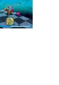 PLAN MARKETINGOWY - Marian Burk Wood