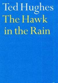 The Hawk in the Rain - Ted Hughes