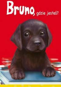 Bruno, gdzie jesteś? - Agnieszka Stelmaszyk