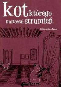 Kot, którego nurtował strumień - Lilian Jackson Braun