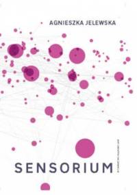 Sensorium. Eseje o sztuce i technologii - Agnieszka Jelewska