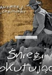 Śniegi pokutujące - Andrzej Wilczkowski