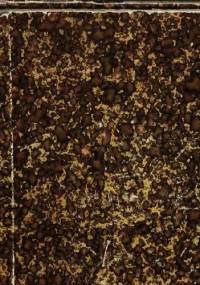 Slovinzische Texte - Friedrich Lorentz