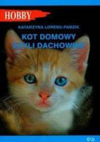 Kot domowy czyli dachowiec - Katarzyna Lorens-Padzik
