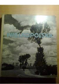 Wielkopolska - Stanisław Cozaś, Franciszek Szczerbal