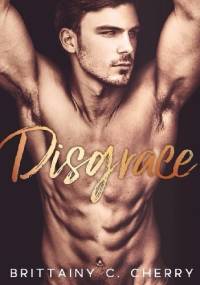 Disgrace - Brittainy C. Cherry