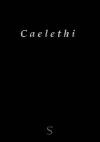 Caelethi. Czarna Księga Szatana II - Christos Beest