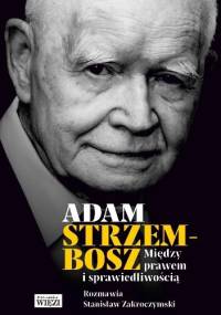 Między prawem i sprawiedliwością - Adam Strzembosz, Stanisław Zakroczymski
