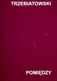 Pomiędzy - Janusz Trzebiatowski