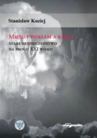Między piekłem a rajem. Szare bezpieczeństwo na progu XXI wieku. - Stanisław Koziej