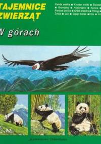 W górach - Michel Cuisin