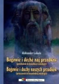 Bogowie i duchy naszych przodków (przyczynek do kaszubskiej mitologii) / W kręgu mitologii kaszubskiej. Pokłosie konferencji naukowej
