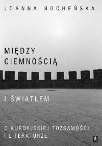 Między ciemnością i światłem. O kurdyjskiej tożsamości i literaturze - Joanna Bocheńska