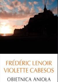 Obietnica anioła - Frédéric Lenoir, Violette Cabesos