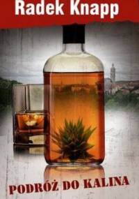 Podróż do Kalina - Radek Knapp