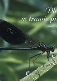 Dlaczego w trawie piszczy? - Simona Kossak